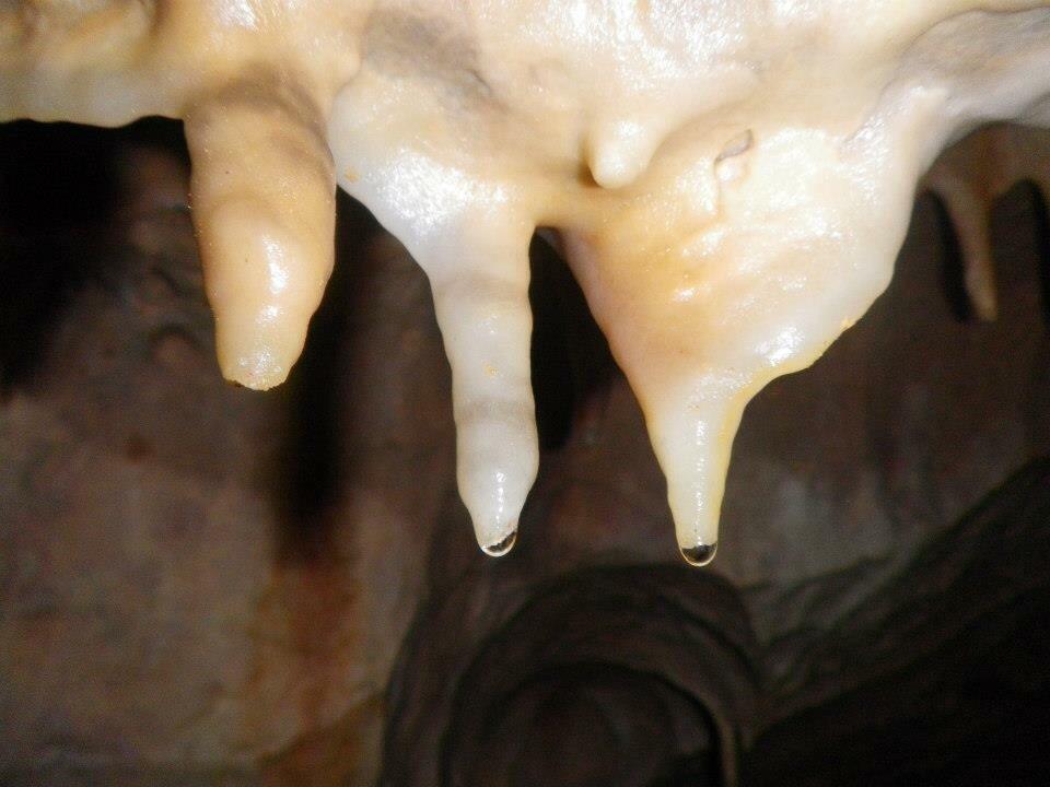 Albergue La Canadilla Uña Kültér fotó